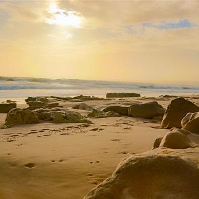 火狐app最新登录